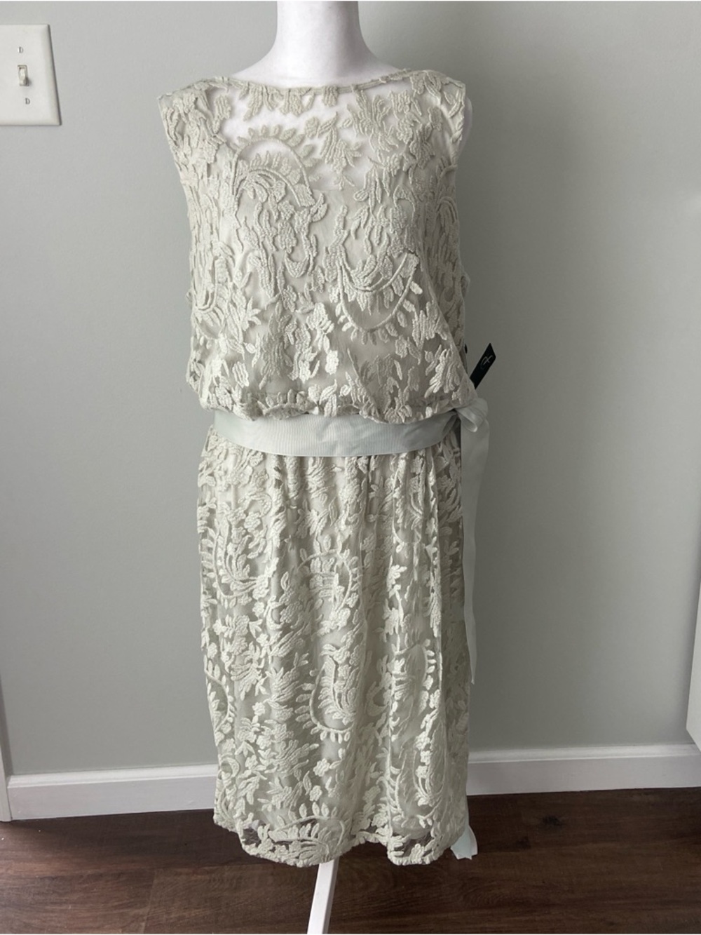 Adrianna Papell Lace Blouson Dress NWT Mint Green Size 16